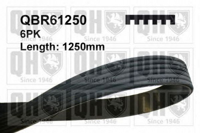 QUINTON HAZELL qbr61250 -  Поликлиновой ремень